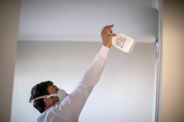 Home Mold Removal in Milan, NM