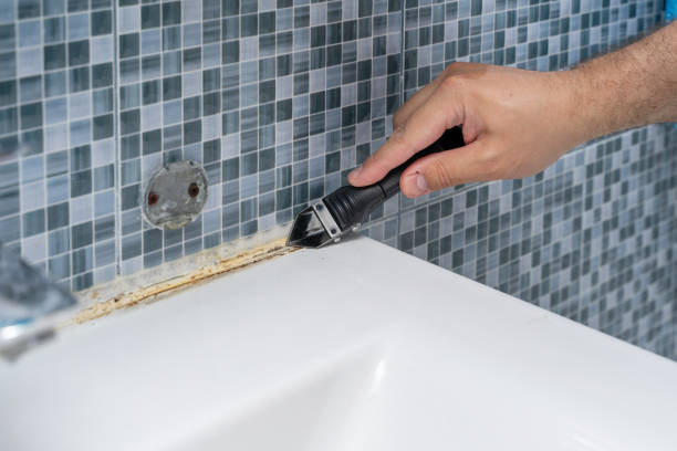 Best Emergency Mold Removal  in Milan, NM