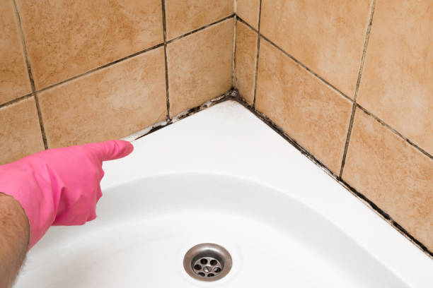 Best Professional Mold Removal  in Milan, NM